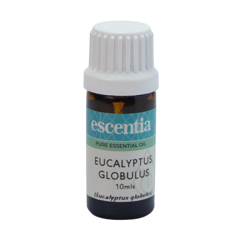 Escentia Eucalyptus Globulus Pure Essential Oil
