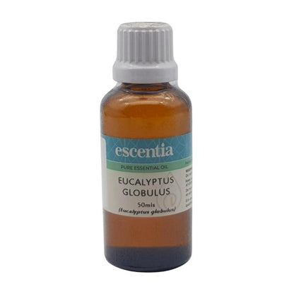 Escentia Eucalyptus Globulus Pure Essential Oil