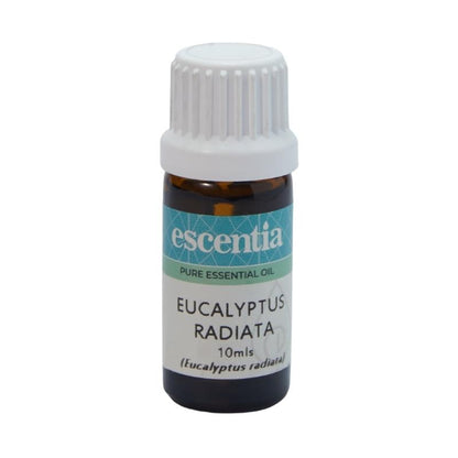 Escentia Eucalyptus Radiata Pure Essential Oil
