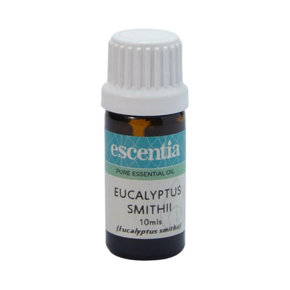 Escentia Eucalyptus Smithii Pure Essential Oil