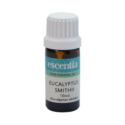 Escentia Eucalyptus Smithii Pure Essential Oil
