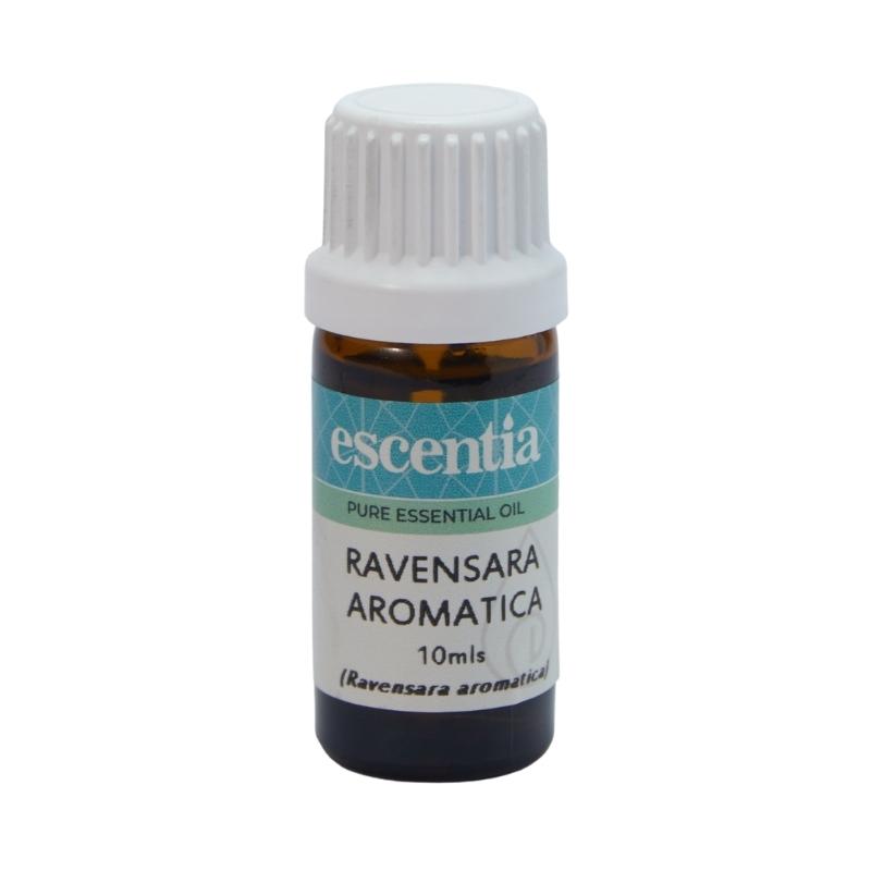 Escentia Ravensara Pure Essential Oil