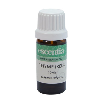 Escentia Thyme (Red) Pure Essential Oil
