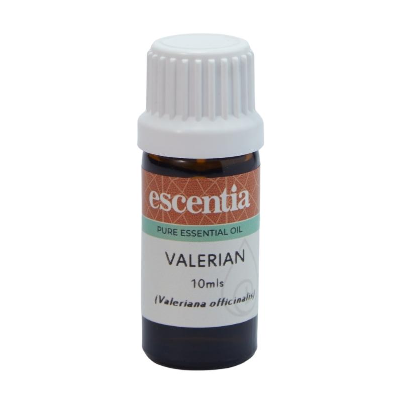 Escentia Valerian (Valeriana officinalis) Pure Essential Oil