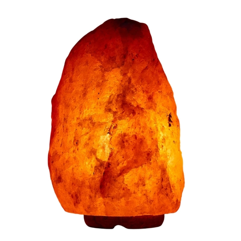 Universal Vision Himalayan Crystal Salt Lamp Natural Shape