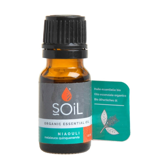 Soil Organic Niaouli Essential Oil - Essentially Natural
