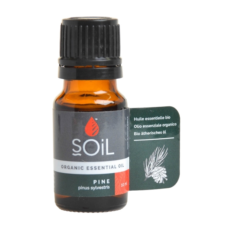 Soil Organic Pine Essential Oil - Essentially Natural