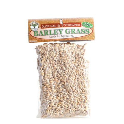 Umuthi Barley Grass Sprouting Seeds - Essentially Natural