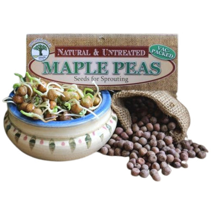 Umuthi Maple Peas Sprouting Seeds