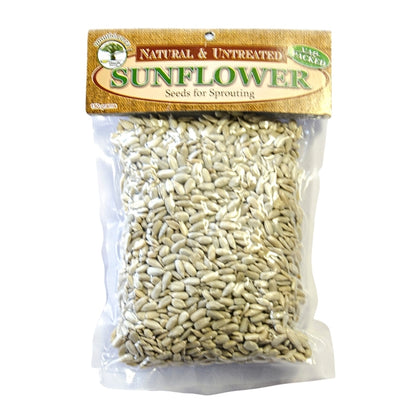 Umuthi Sunflower Kernel Sprouting Seeds