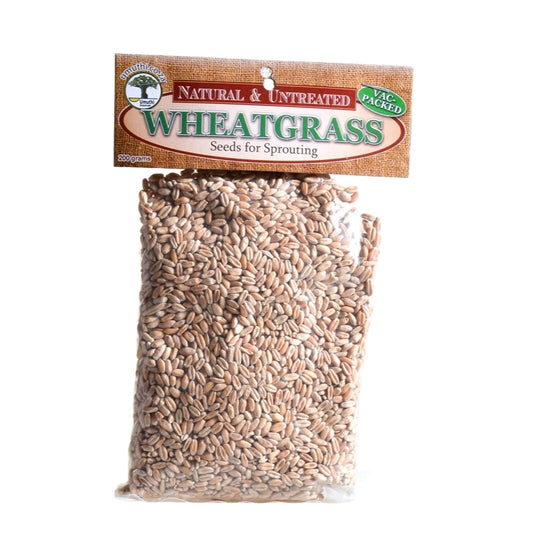 Umuthi Wheatgrass Sprouting Seeds - Essentially Natural