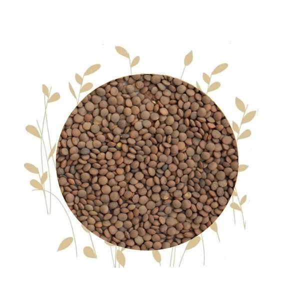 Umuthi Lentils For Sprouting (Brown)